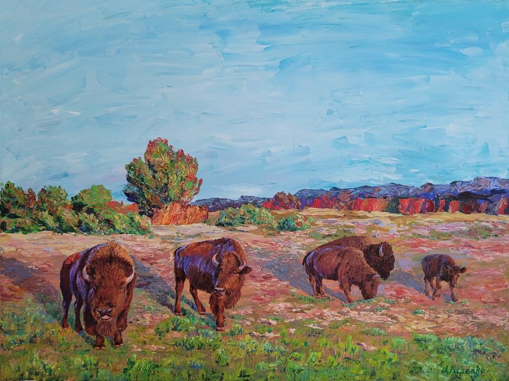 The Bison Family of Texas