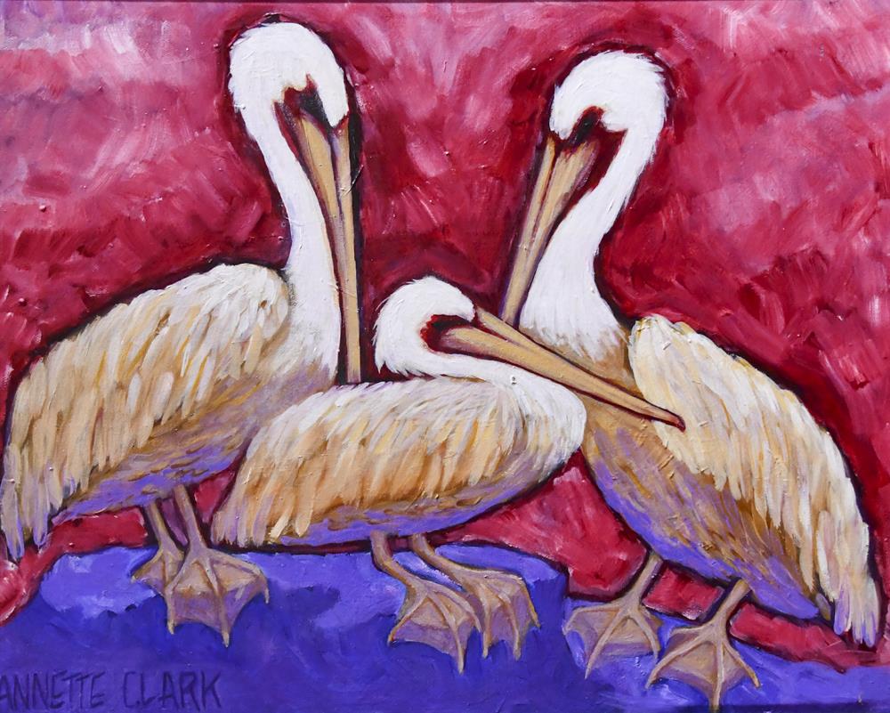 3 Pelicans
