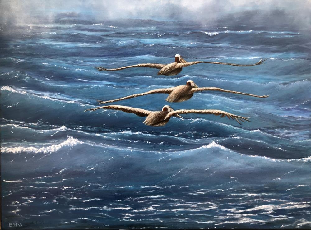 Pelicans in the Storm