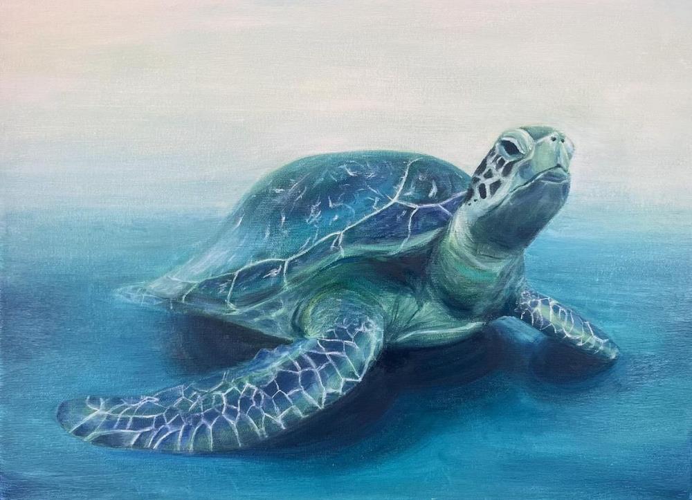 Sea Turtle