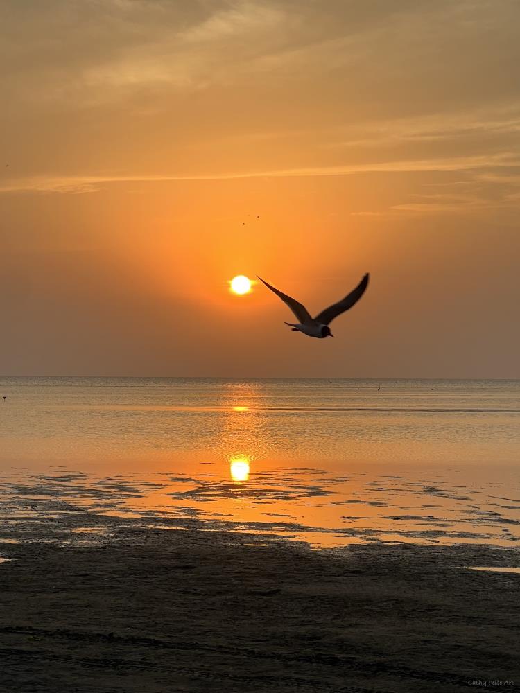 Last Call @ Padre Island