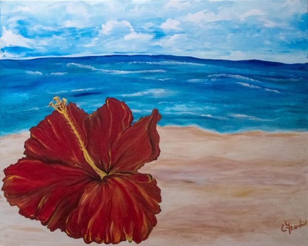 Red Hibiscus on Beach