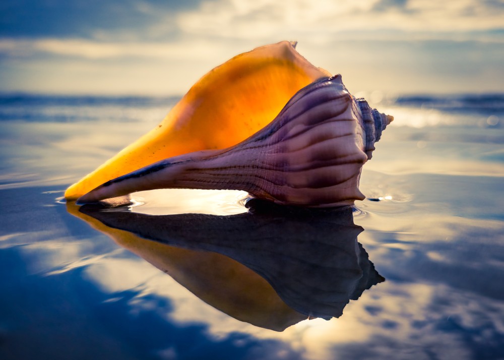 The Vessel