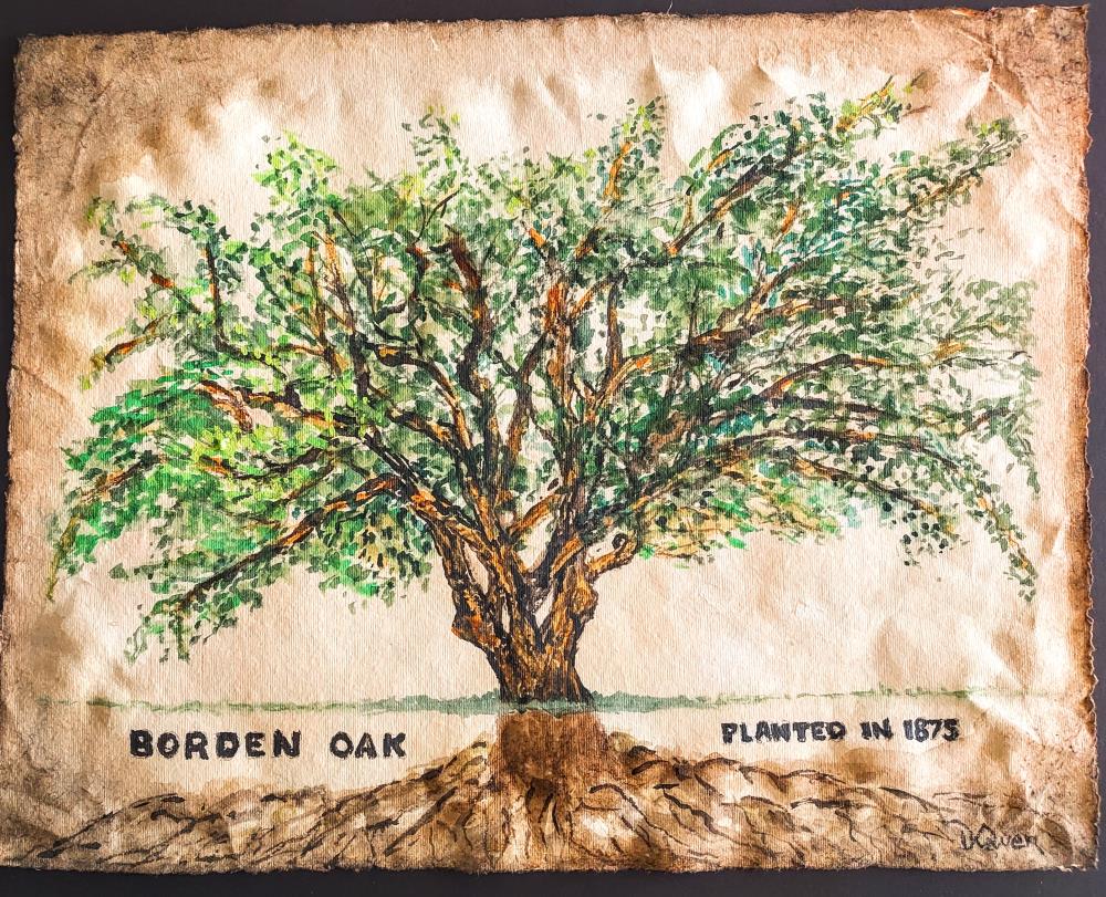 The Borden Tree