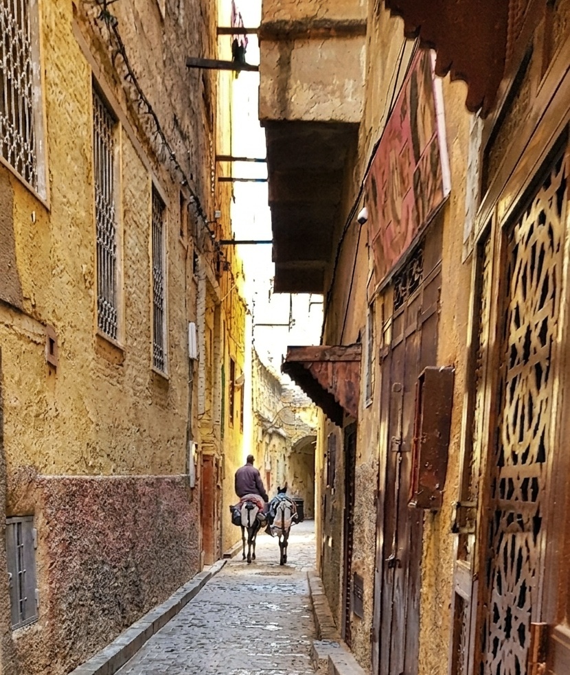 The Alleys of Fez