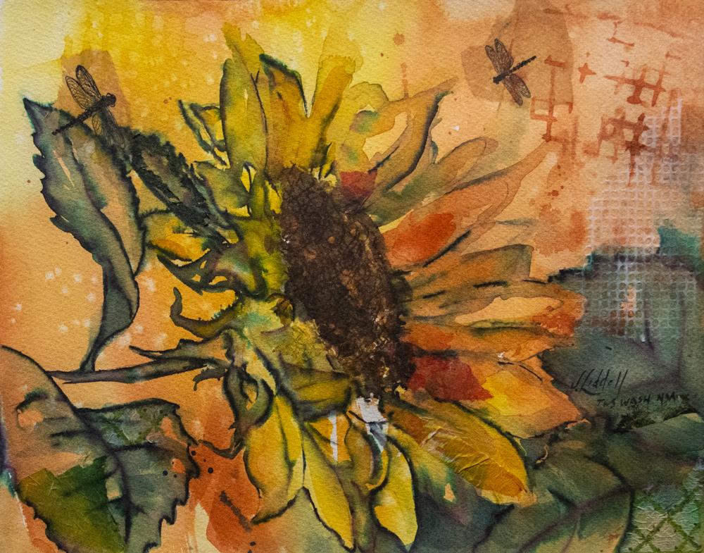 Sunflower Symbol Of Hope Galveston Art League