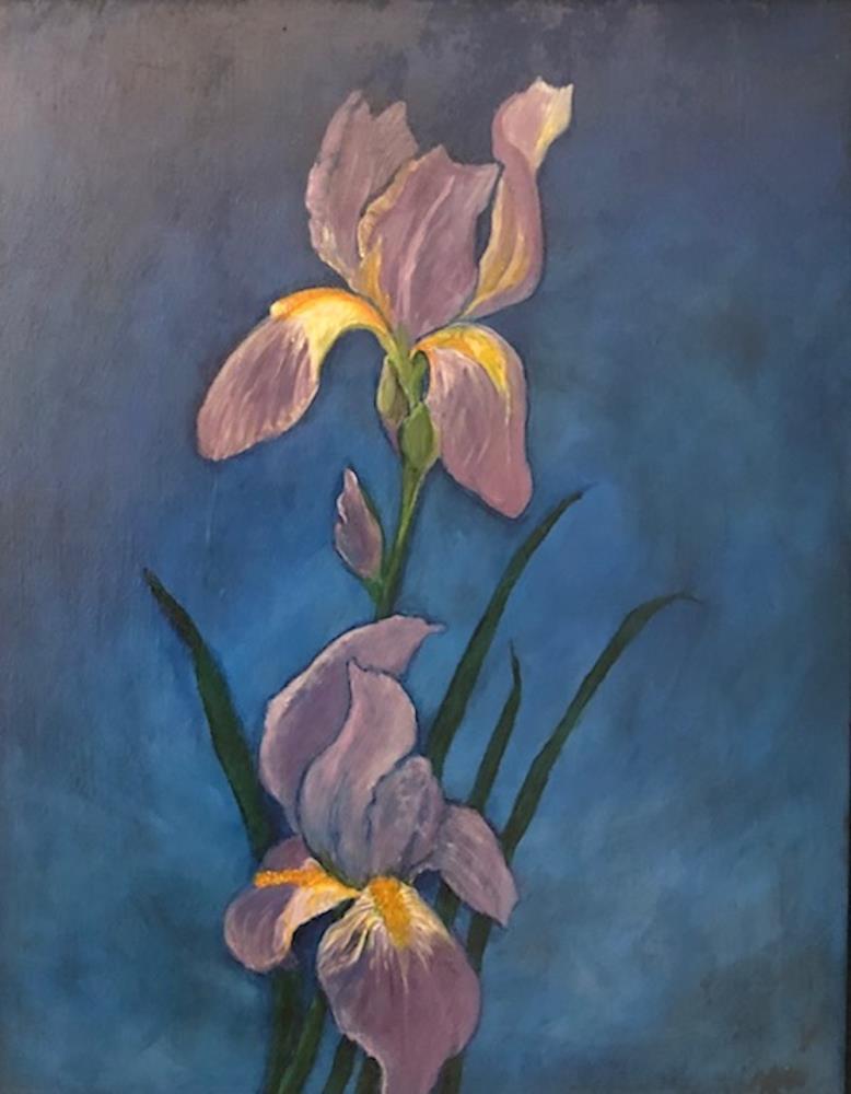 Colorado Irises