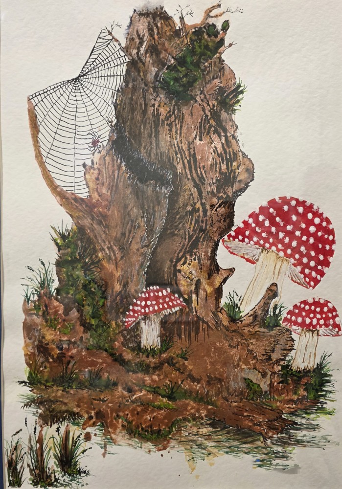 Old Tree Gives Nature Life