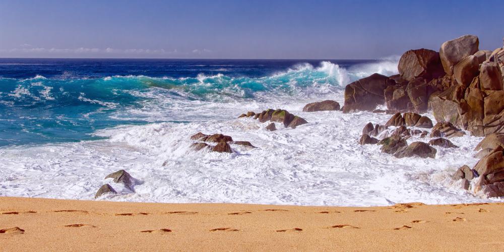 A Walk Along the Ocean