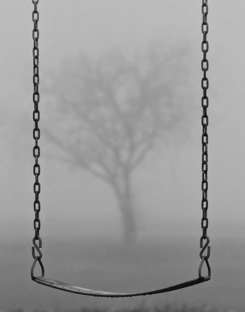 Fog in the Park
