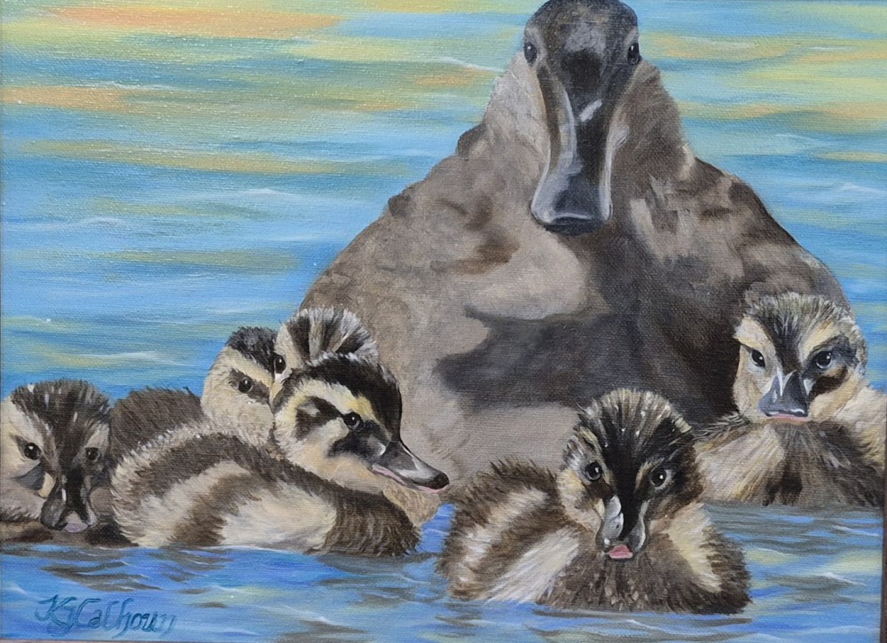 Duck Armada