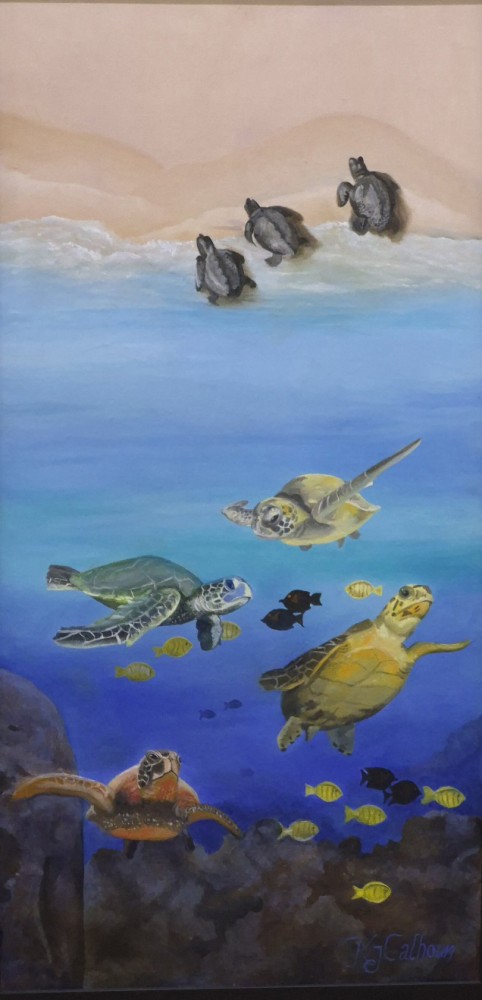 Flight of the Kemps Ridley