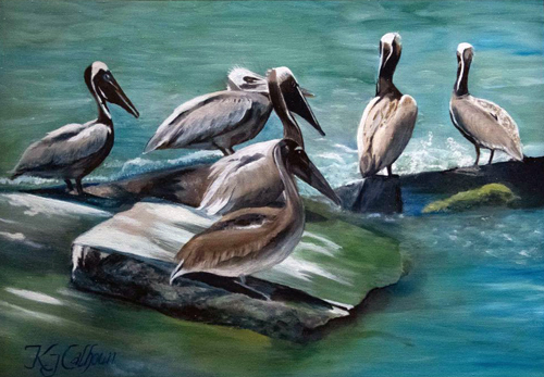Galveston Bay Pelicans
