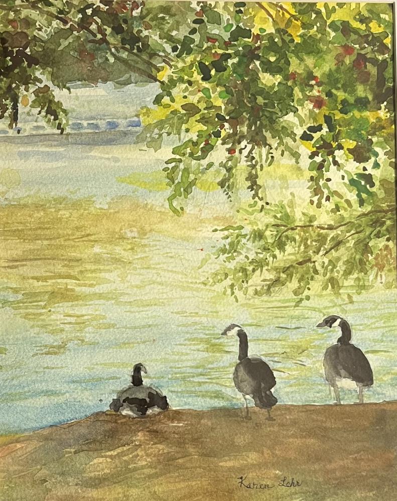 Geese by the Pond