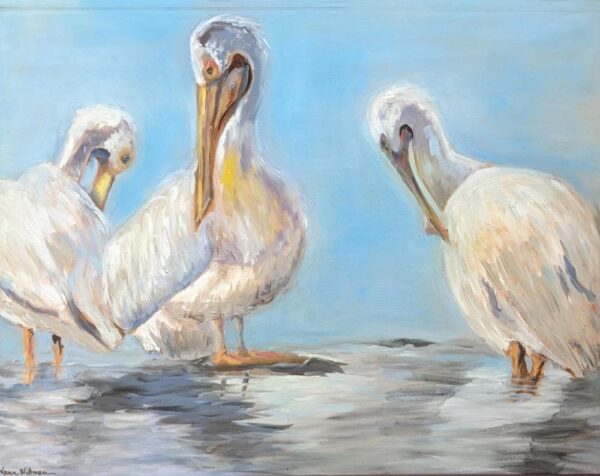 Pelican Friends