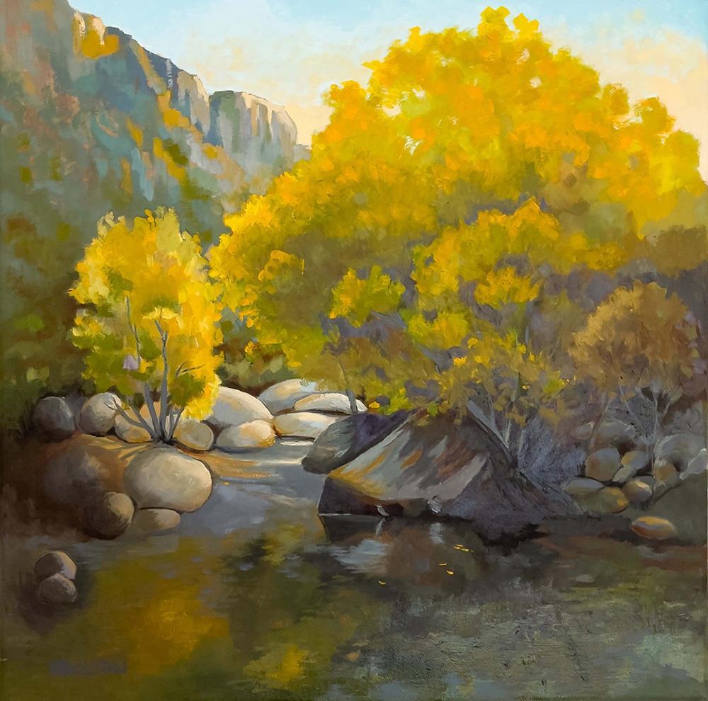 Sabino Canyon Creek 2