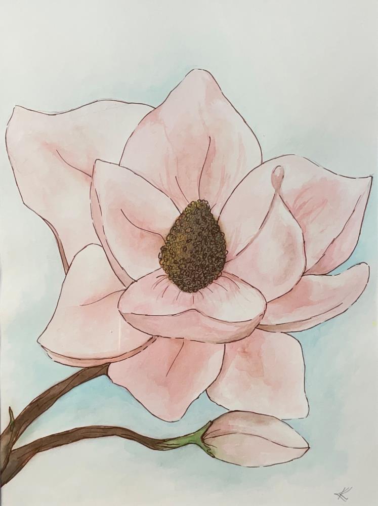 Magnolia