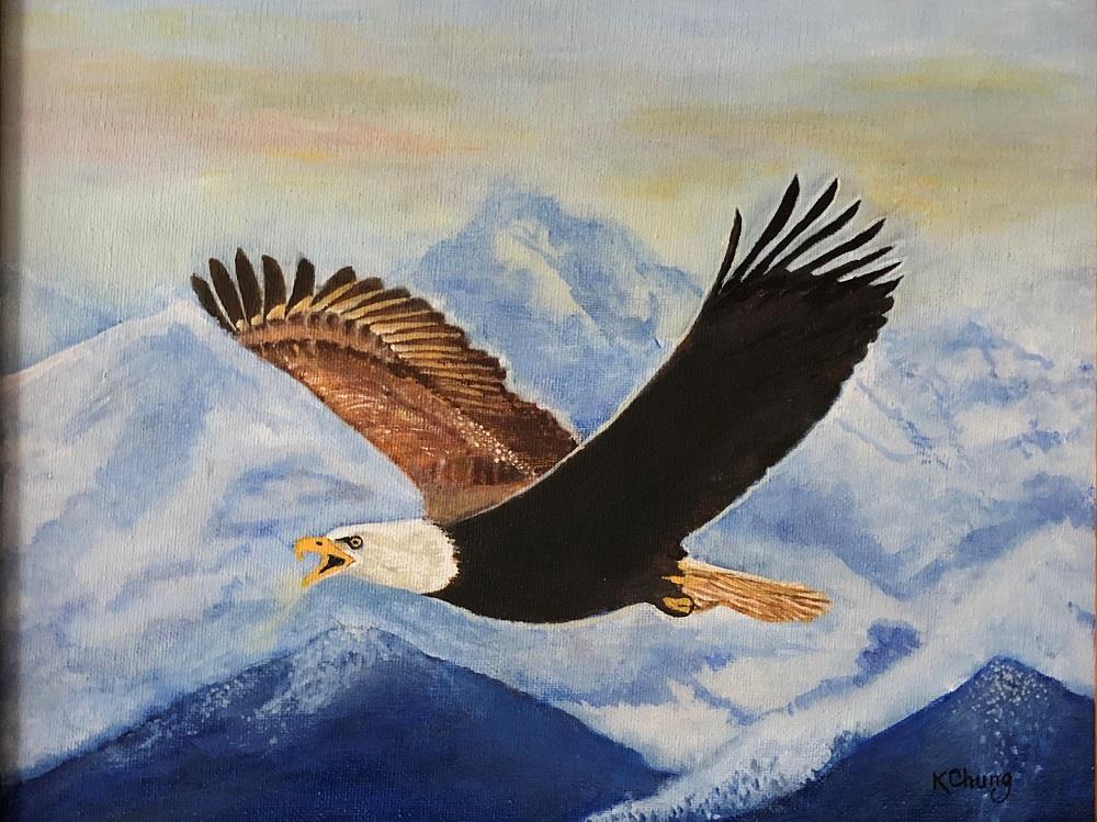 Soaring Over the Mountains