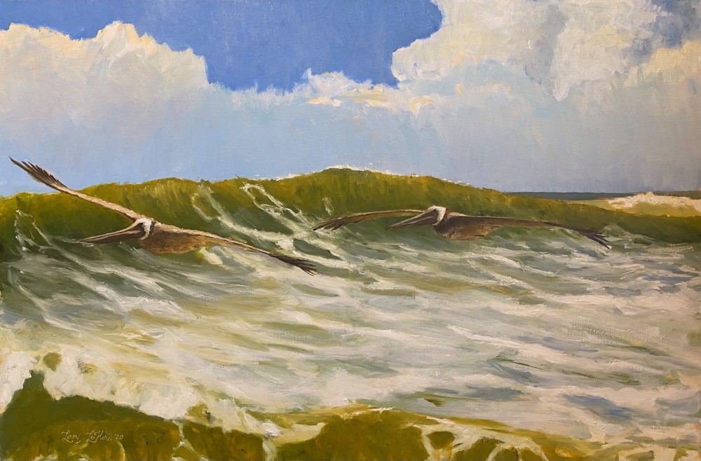 Pelicans Surfing