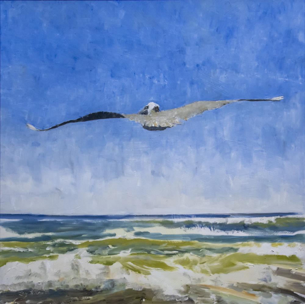 Pelican and Surf