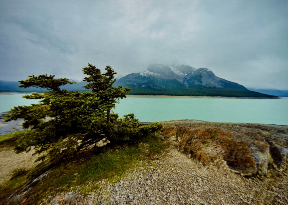 Lake Abraham