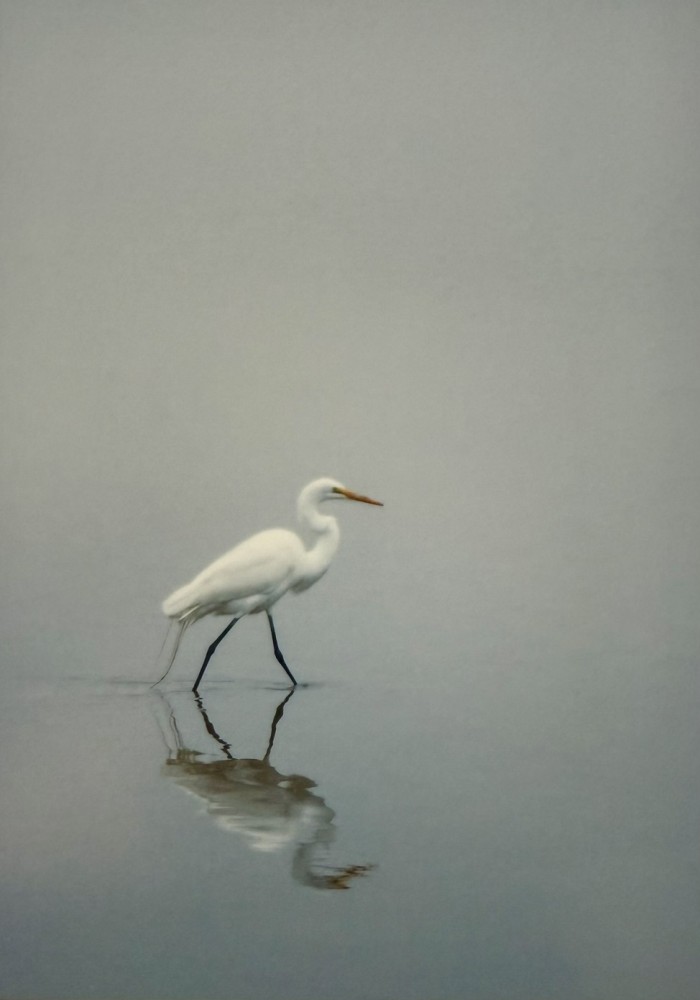 Stroll at Daybreak