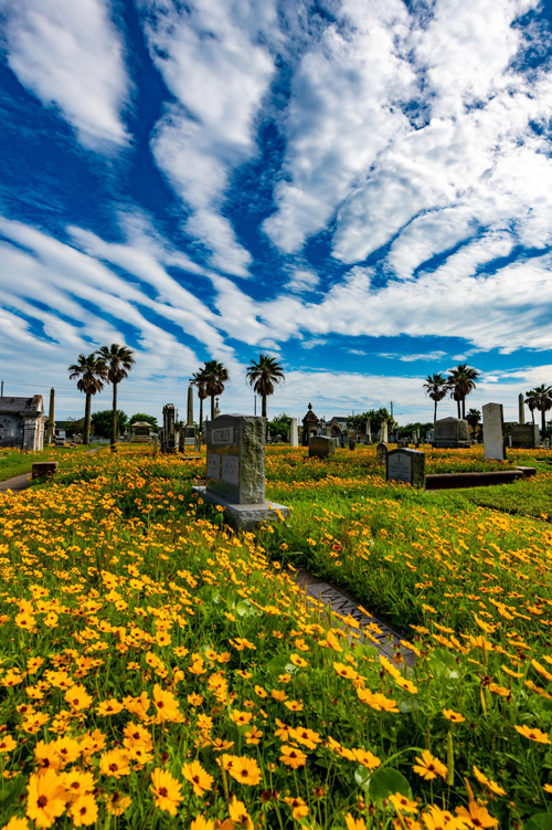 Spring at the Cemetery