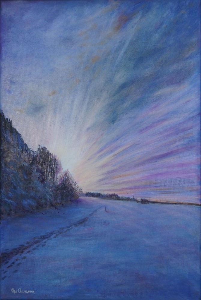 Forest Edge in Winter