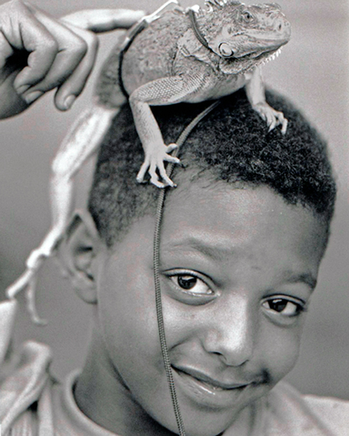 Boy with Iguana