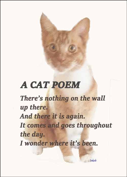 Cat Poem