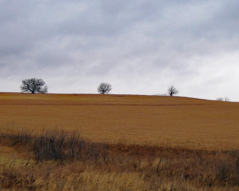 Prairie Horizon