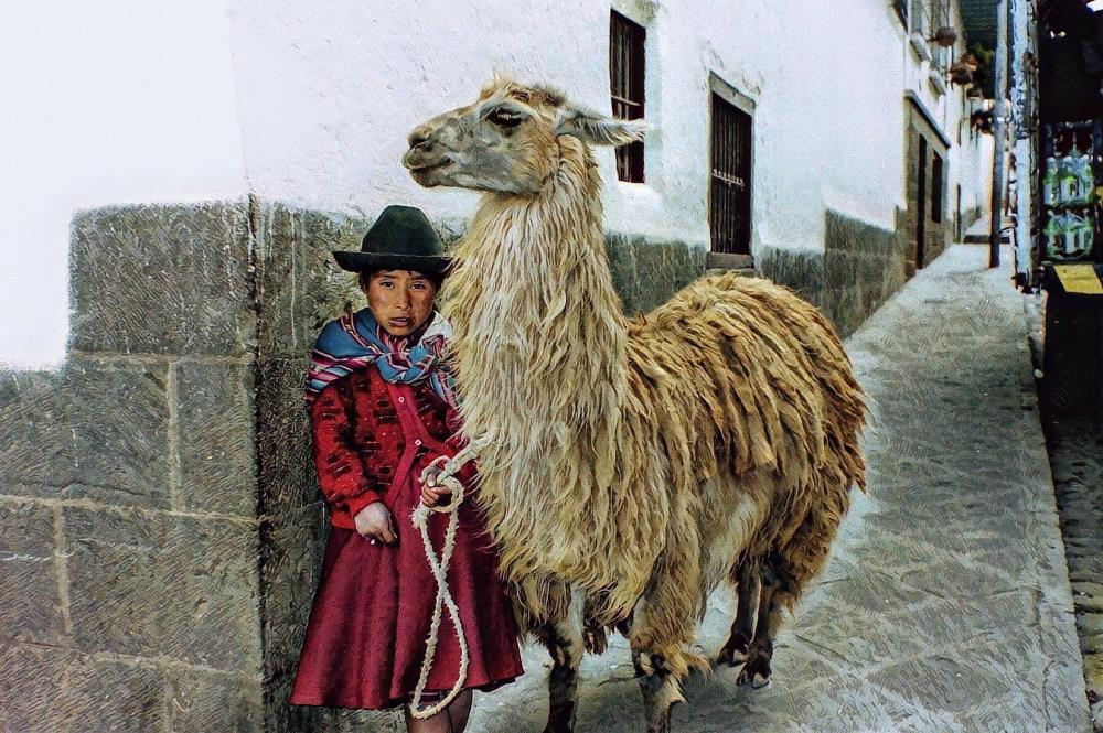 A Girl and Her Llama
