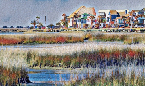 Galveston Bay Marsh