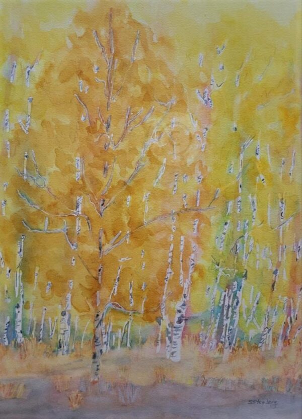 Aspen Grove on the Cumbres