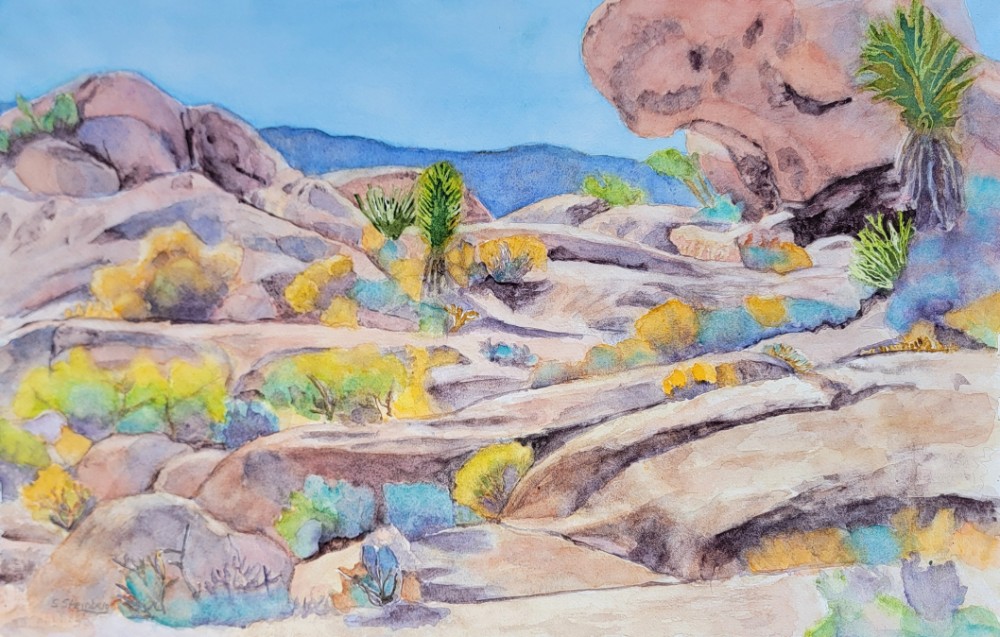 Joshua's Desert Garden