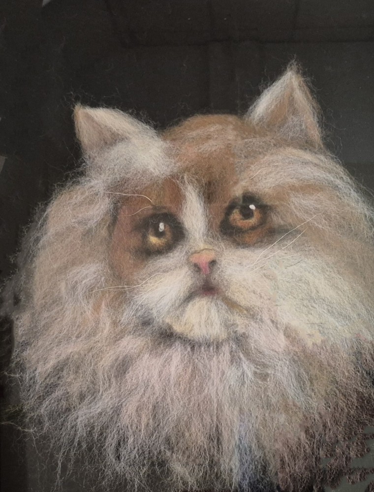 Pretty Eyes (Cat)