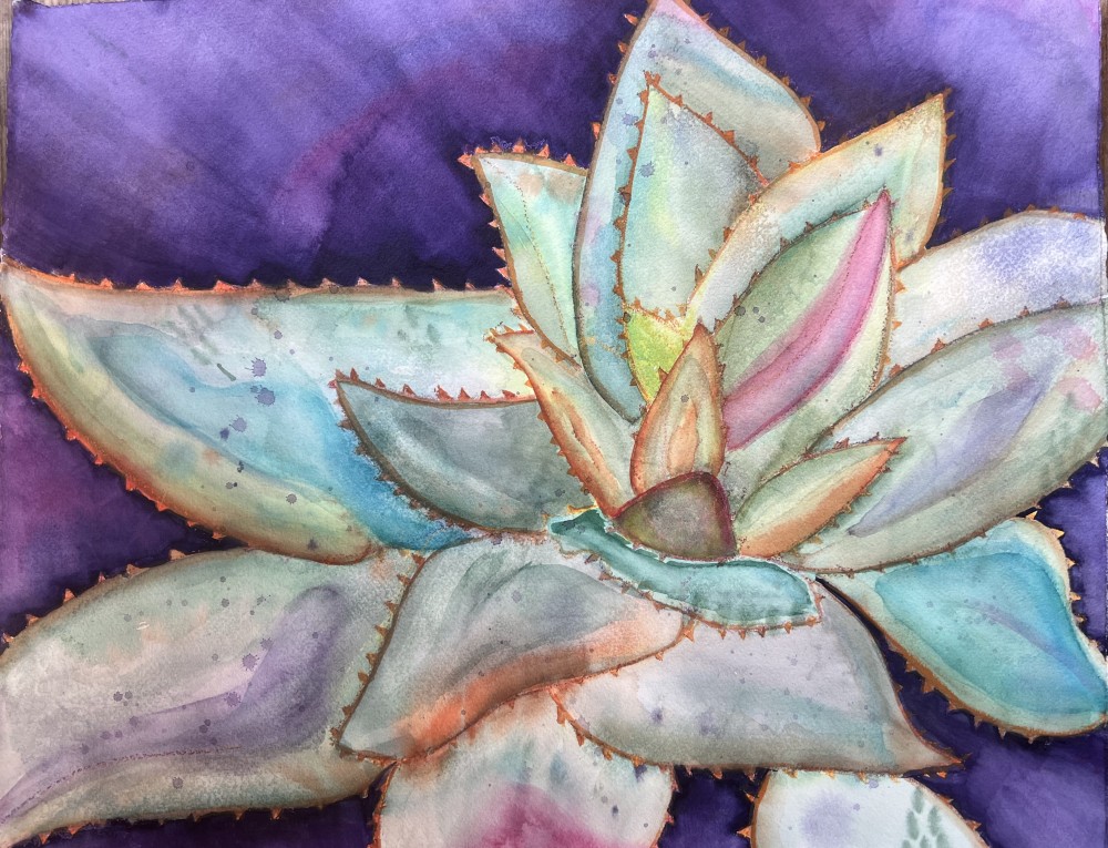 Growth in Nature-Aloe Vera