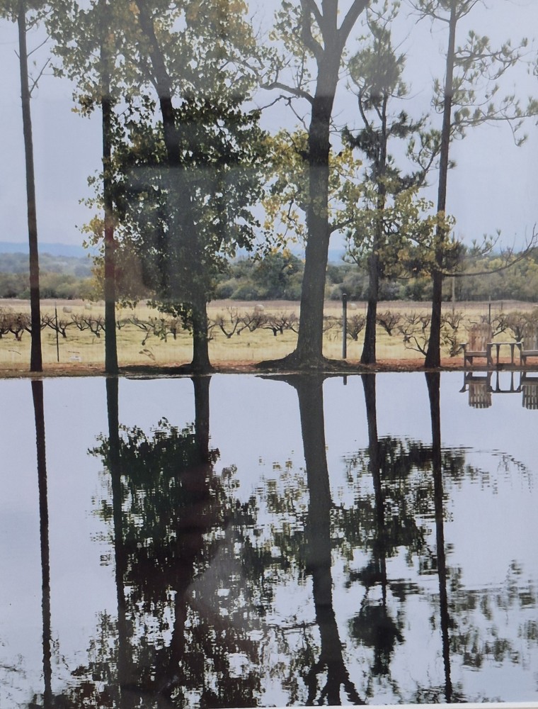 Autumn Reflections